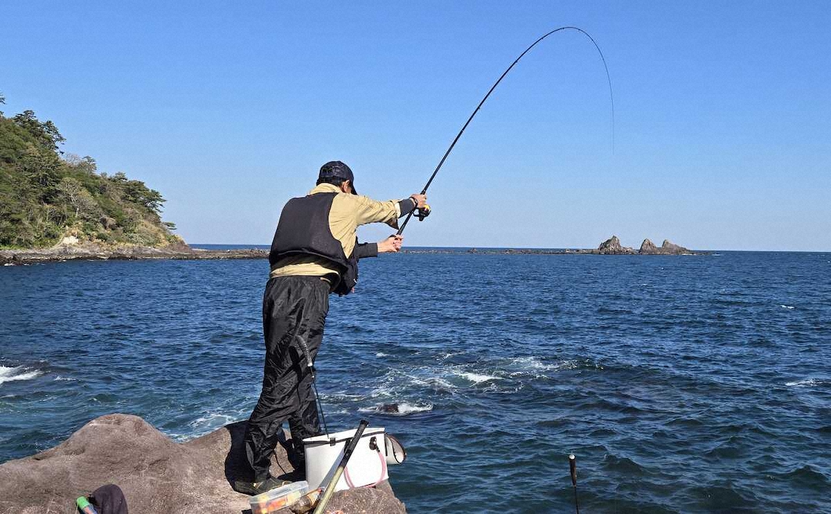 【画像・写真】菜っ葉潮でも深場攻めで43センチのブダイ　緑色の海でメジナは20センチ止まり