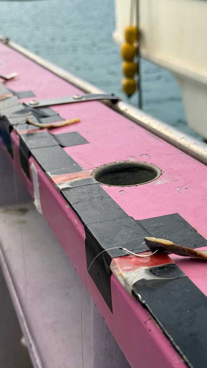 【画像・写真】LT深場五目で高級魚ズラリ　キンメ、クロムツ、スミヤキ…運が良ければアカムツも!