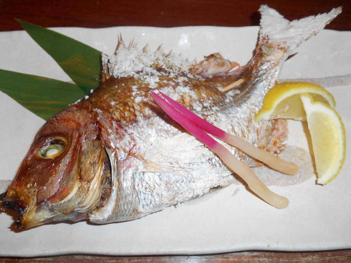 【画像・写真】暗闇で5.6キロ ヒラメきらり！マダイ狙いも無念…釣行早すぎた