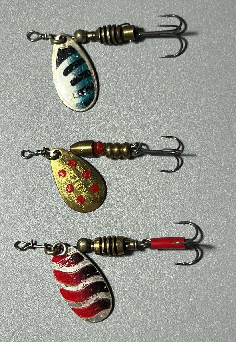【画像・写真】ヤマメ釣りのボーナス　尺イワナ　名人と一緒に「超激戦区」奥多摩町の日原川へ