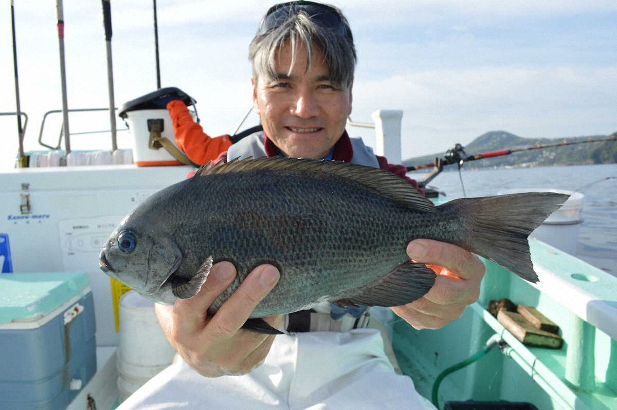【画像・写真】シーズン開幕さイサキよく42センチ大イサキ　高級五目でクーラーボックス宝石箱