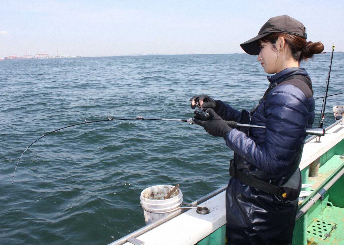 【画像・写真】“味占めた”約30センチの黄金アジ　鮮度抜群!!おいしい刺し身に