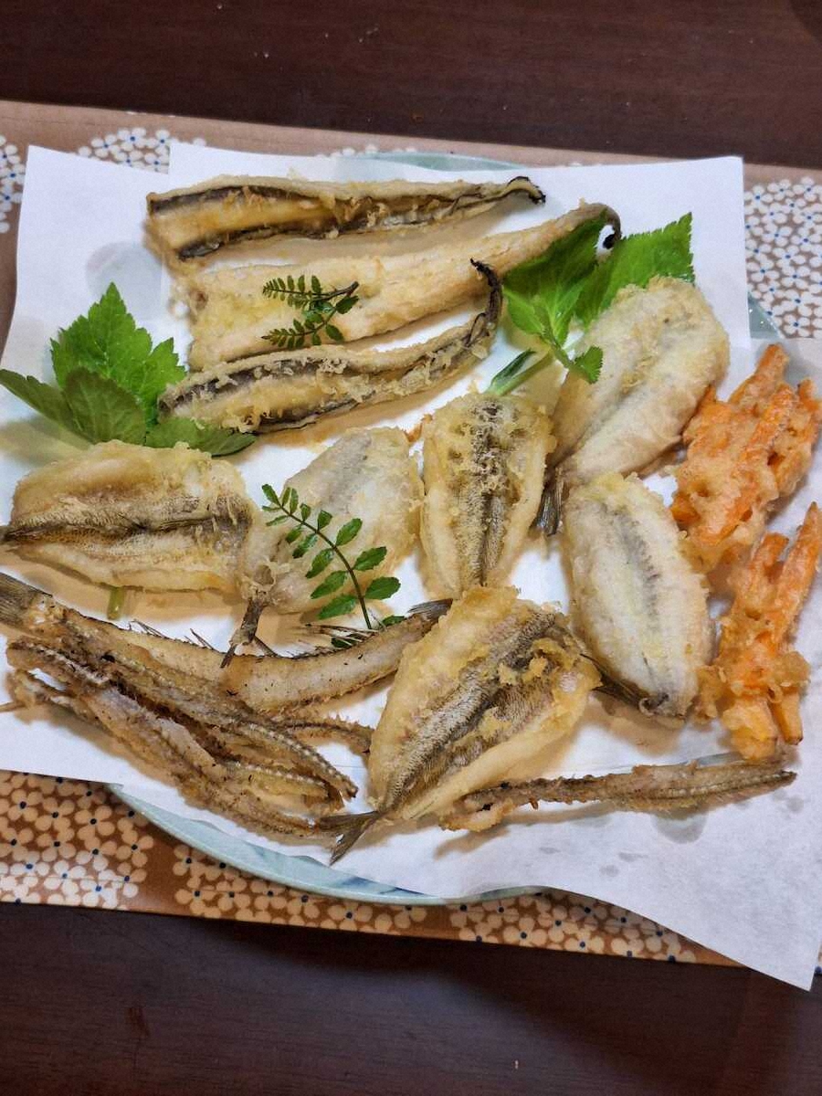 【画像・写真】昼はシロギス　夜はアナゴ　天ぷらに天丼　旬の味堪能