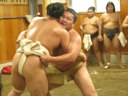 申し合い稽古で日馬富士を寄り切る白鵬（右）