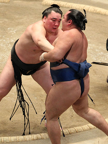 大相撲初場所１４日目、鶴竜を下し優勝を決めた日馬富士