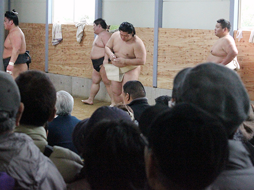 遠藤（中央）の稽古を見ようと追手風部屋の稽古場には大勢の見学者が詰めかけた