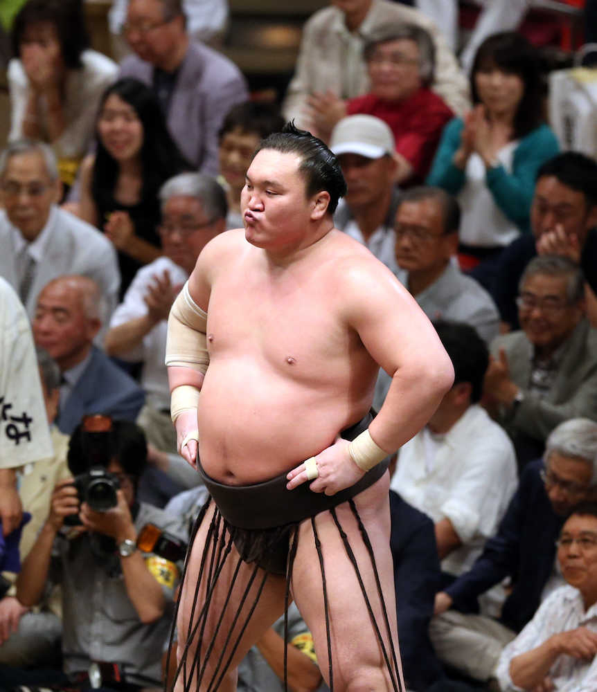 相撲 sumo 手形 手型 額縁 付き 鶴竜 逸ノ城 遠藤 朝赤龍 横綱 大関