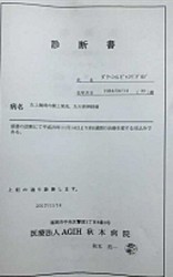 日本相撲協会が公表した日馬富士の診断書 スポニチ Sponichi Annex スポーツ