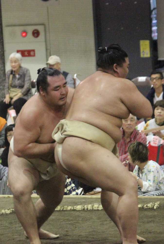 正代と稽古で相撲をとった鶴竜（左）