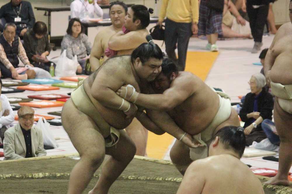 栃煌山と朝稽古で相撲をとる高安（左）