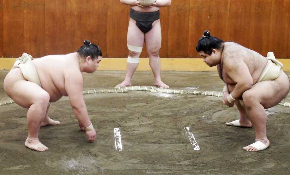 【画像・写真】正代、鶴竜＆高安に１９番全敗「なかなか体ついてこない」
