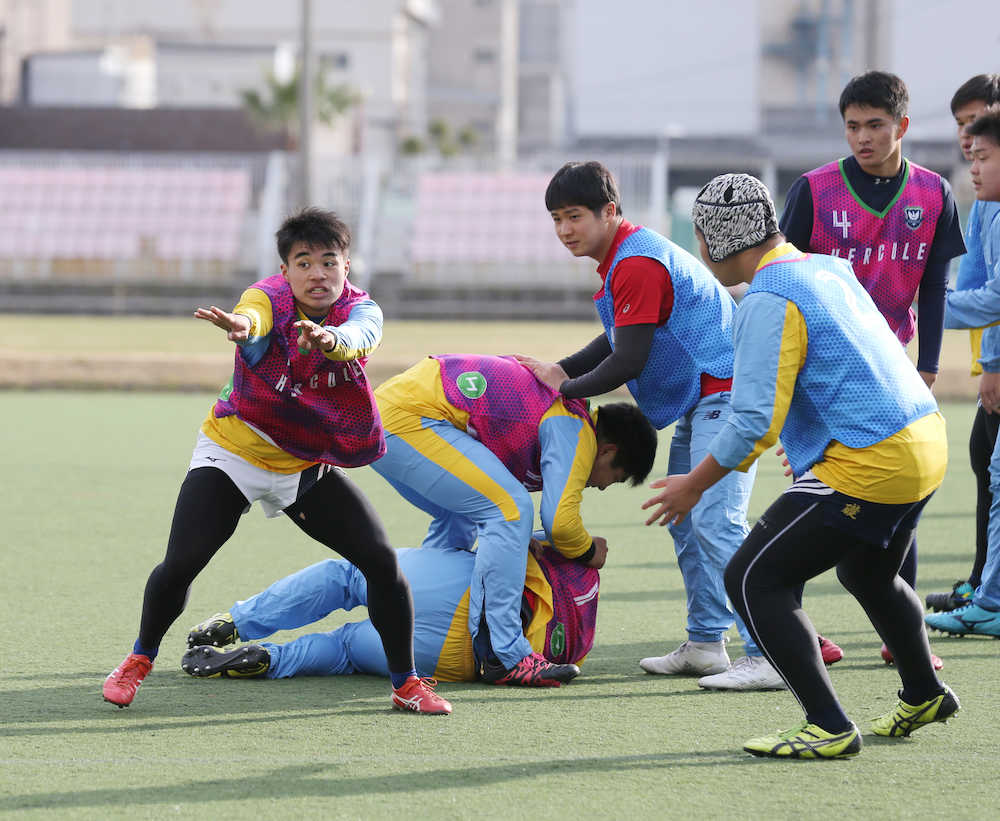 【画像・写真】桐蔭学園、悲願の単独Ｖへ“エアラグビー仕上げ”　ボール使わず１５ＶＳ１５
