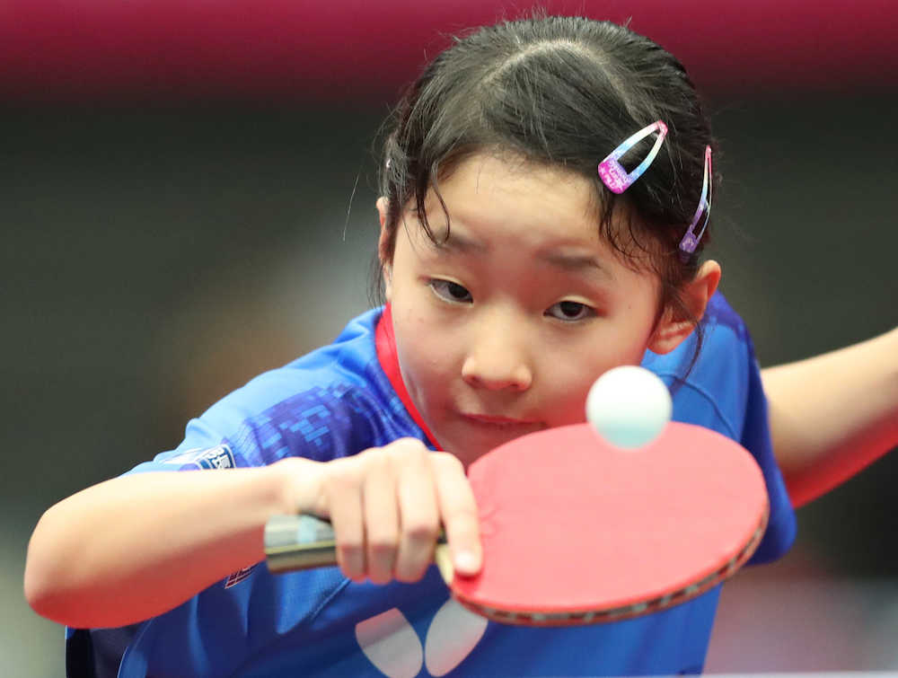 【画像・写真】張本妹・美和が再進撃　一般で２回戦突破　小４の２勝は平野美宇以来の快挙