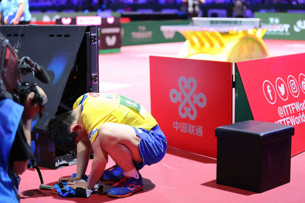 世界卓球男子シングルス4回戦で安宰賢に敗れ、崩れる張本（撮影・吉田　剛）