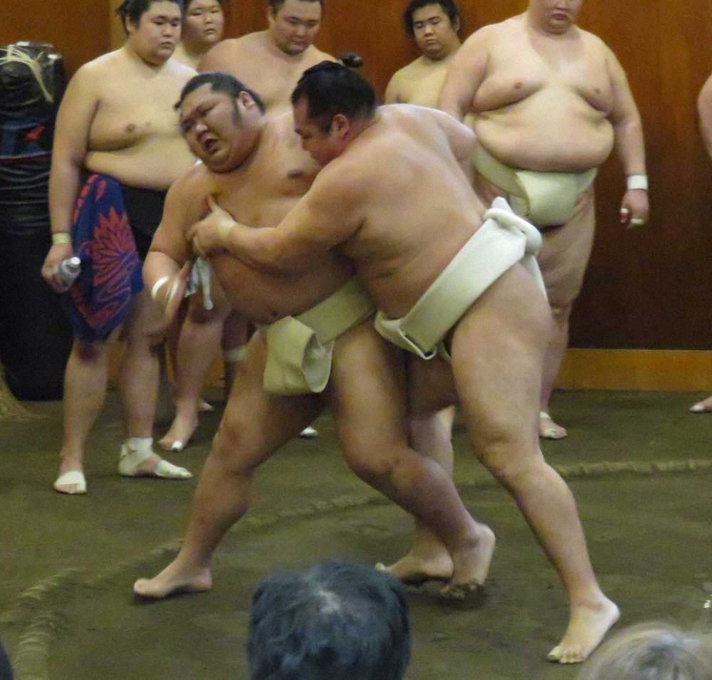 【画像・写真】鶴竜　出稽古で千代大龍圧倒、低い体勢からの攻め光る
