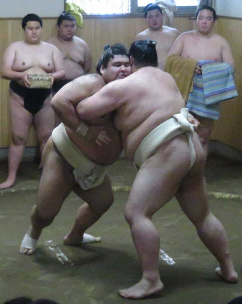 【画像・写真】高安　荒磯親方と4日連続で稽古　5勝24敗も勝敗以上の収穫「力勝負ができた」