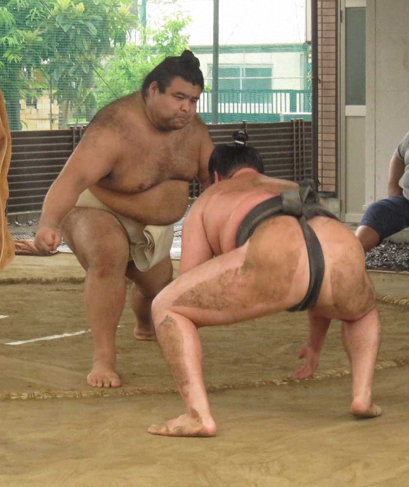 【画像・写真】高安 3日ぶり稽古で状態確認「大丈夫です。徐々に頑張ります」