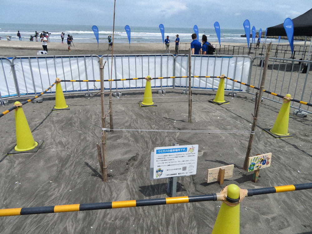東京五輪のサーフィン競技テストイベントで、保護のために柵に囲われたウミガメの産卵場所