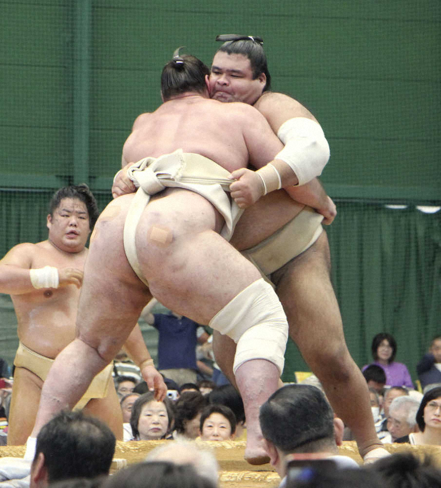 【画像・写真】高安　栃ノ心に1勝6敗も負傷の左肘「力は入った」