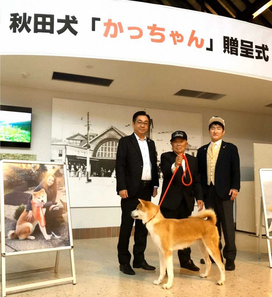 大館市に贈呈される秋田犬かっちゃん。左は秋田犬保存会　遠藤敬会長