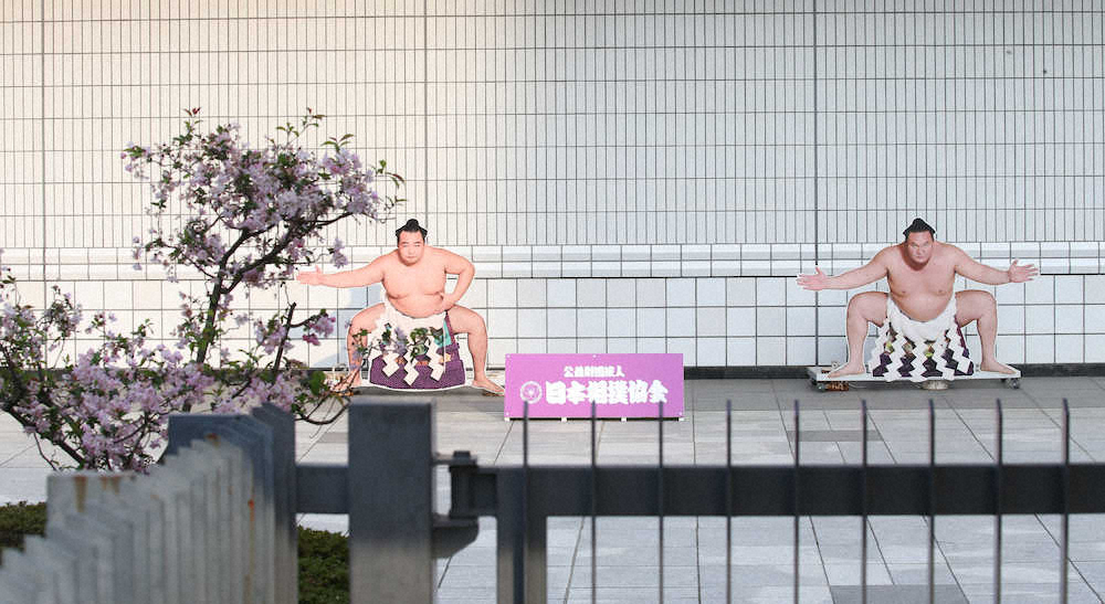 【画像・写真】夏場所延期に鶴竜「待つだけ」、白鵬「前向きに」