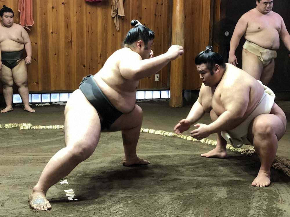 【画像・写真】貴景勝“婚約場所”へ意欲「いい成績を残したい」