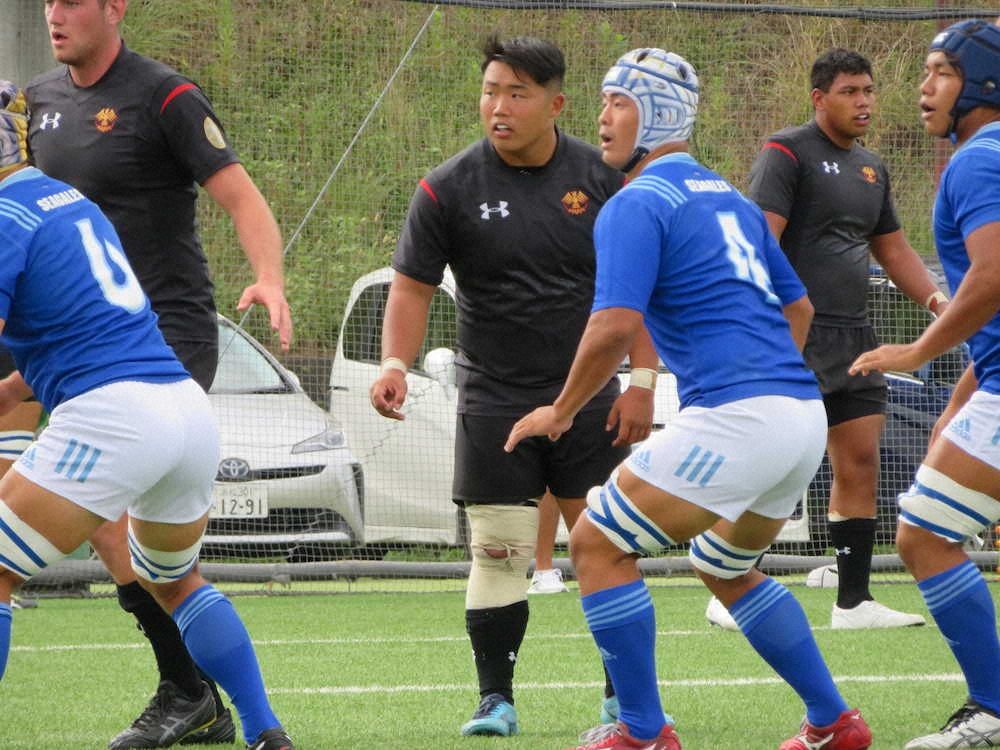 【画像・写真】帝京大圧勝　練習試合で東海大に84―7　関東大学対抗戦10・4開幕
