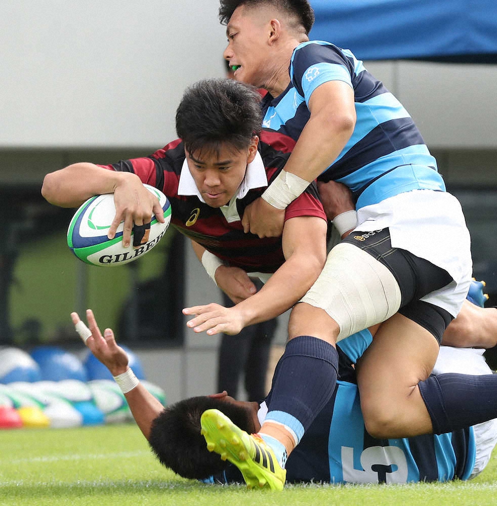 【画像・写真】早大が計10トライで開幕3連勝　小西、吉村の2年生ハーフ団がけん引　関東大学ラグビー対抗戦
