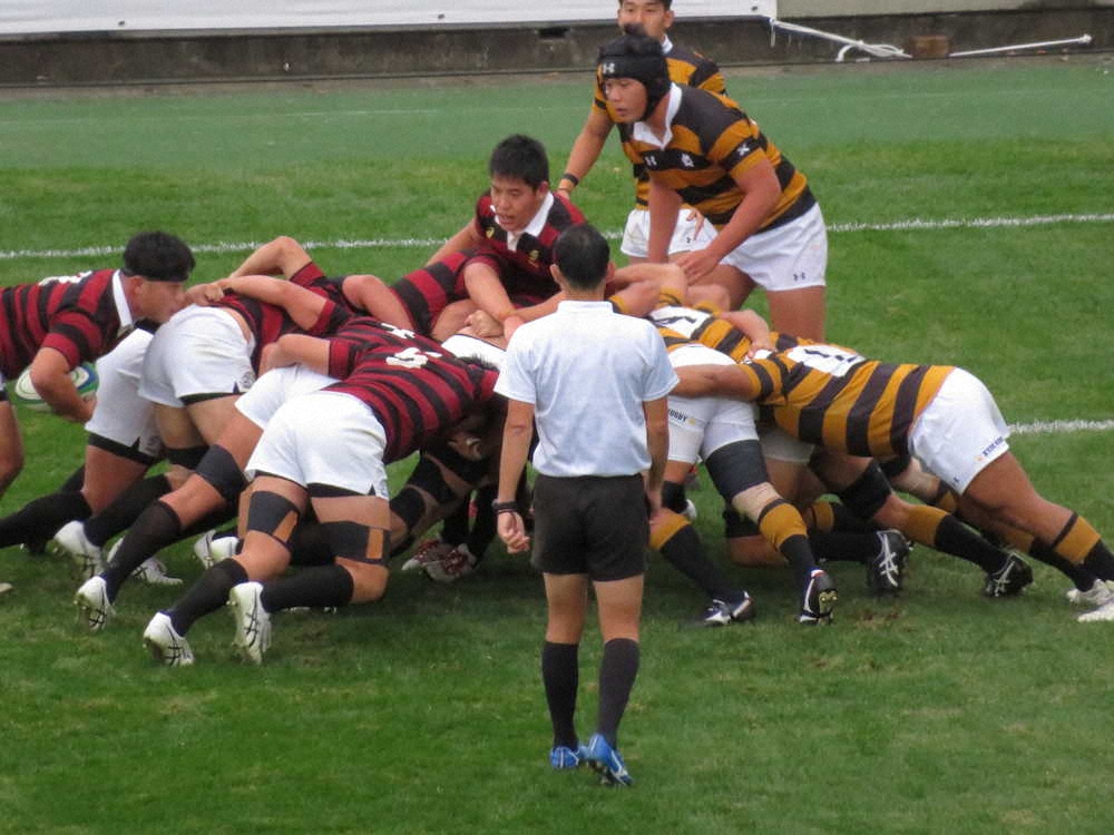 【画像・写真】早大が節目の70勝目　逆転トライのSO吉村がMOM　ラグビー早慶戦