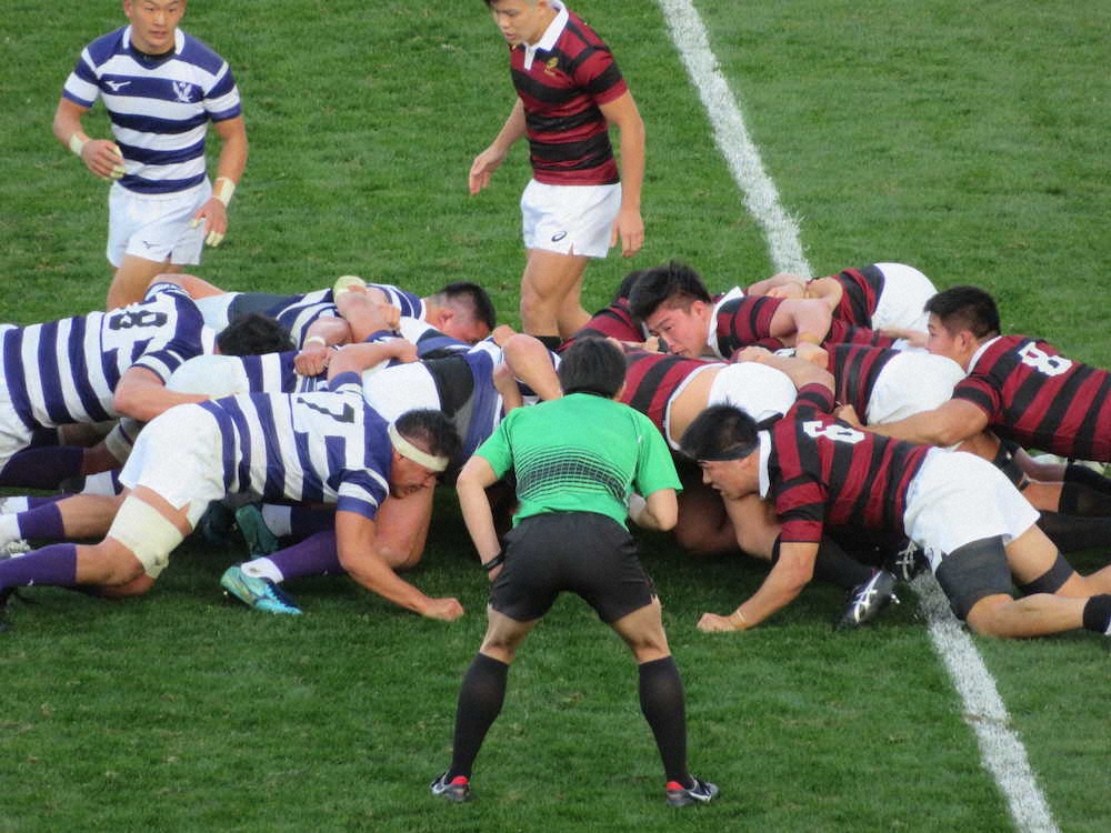 【画像・写真】伝統の早明戦は明大に軍配　2季連続18度目対抗戦制覇　関東大学ラグビー
