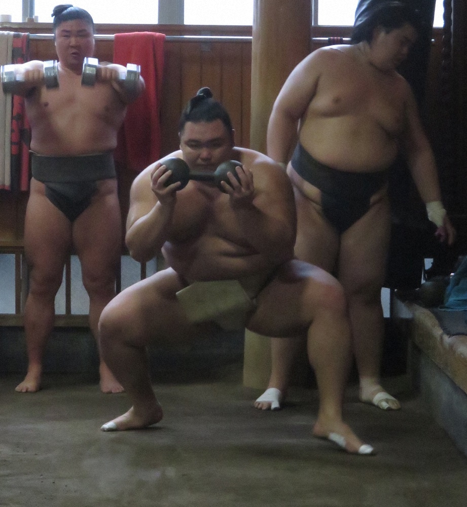 【画像・写真】初のカド番・朝乃山、意気込み「崖っ縁なので痛いと言ってられない」