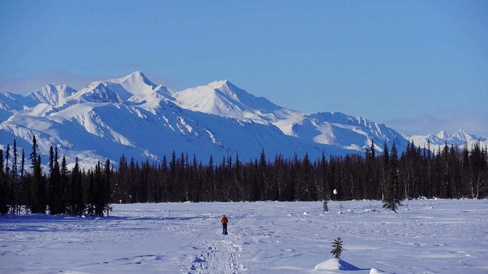 【画像・写真】アドベンチャーランナー北田氏　極寒のアラスカ560キロレースを無事完走