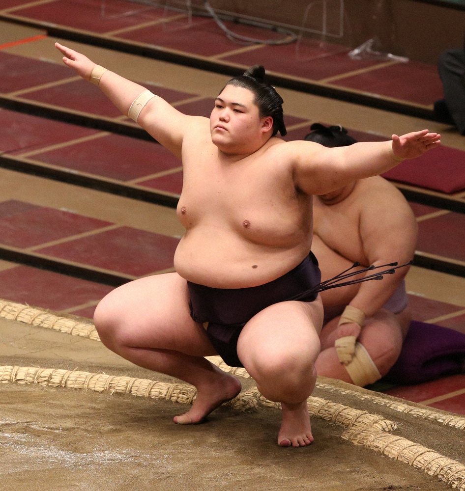 【画像・写真】王鵬と大翔鵬が再十両、新十両はなし　舛東欧ら21人が引退