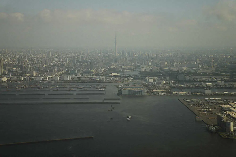 ピサレンコ・カメラマンが羽田空港到着の直前に機内から見た東京の風景（AP）