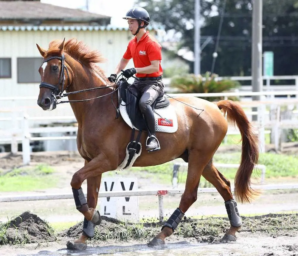 【画像・写真】不屈の男　パラ馬術代表・高嶋活士　ここが夢の“G1舞台”