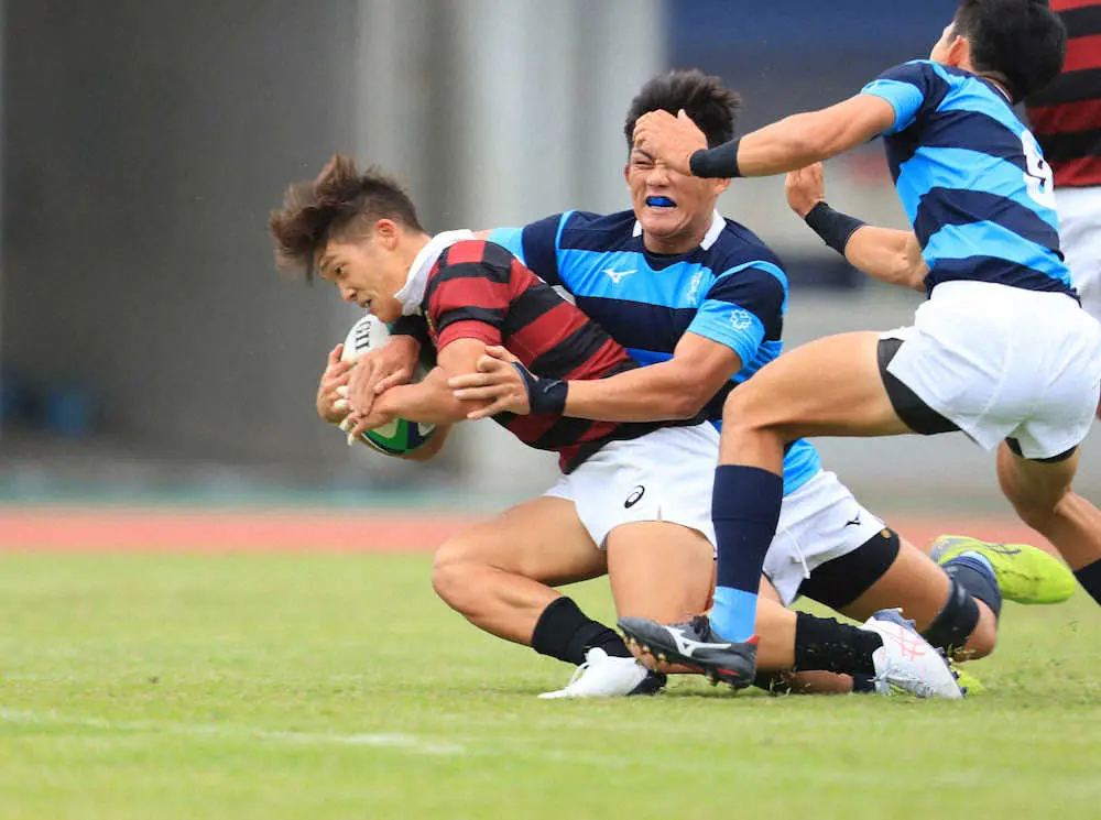 【画像・写真】早大　1年生コンビで連勝、宮尾＆佐藤　ともに2トライで日体大圧倒