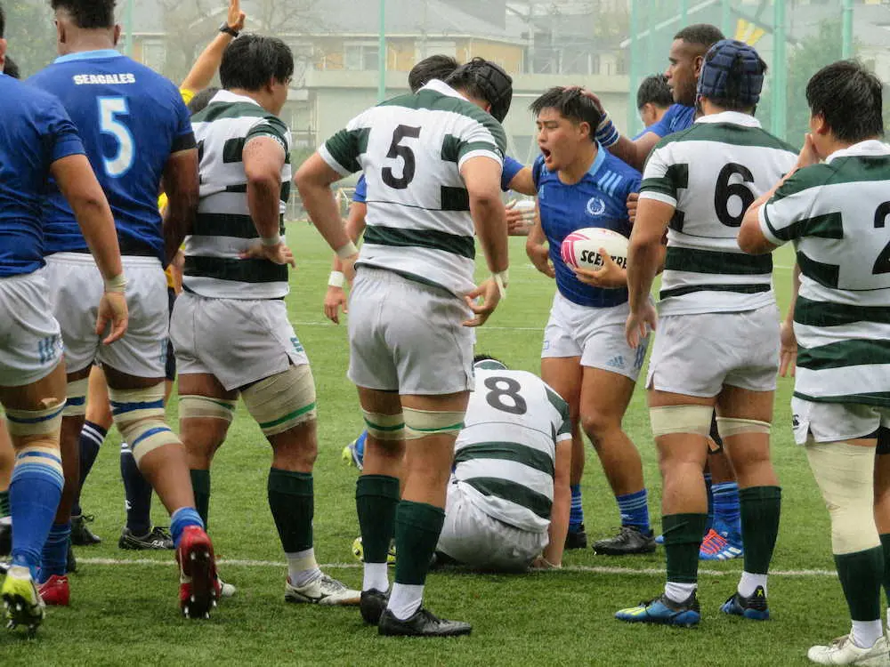 【画像・写真】王者・東海大が開幕3連勝　先制、中押し、ダメ押しと隙のない戦いぶりで11トライ＆完封