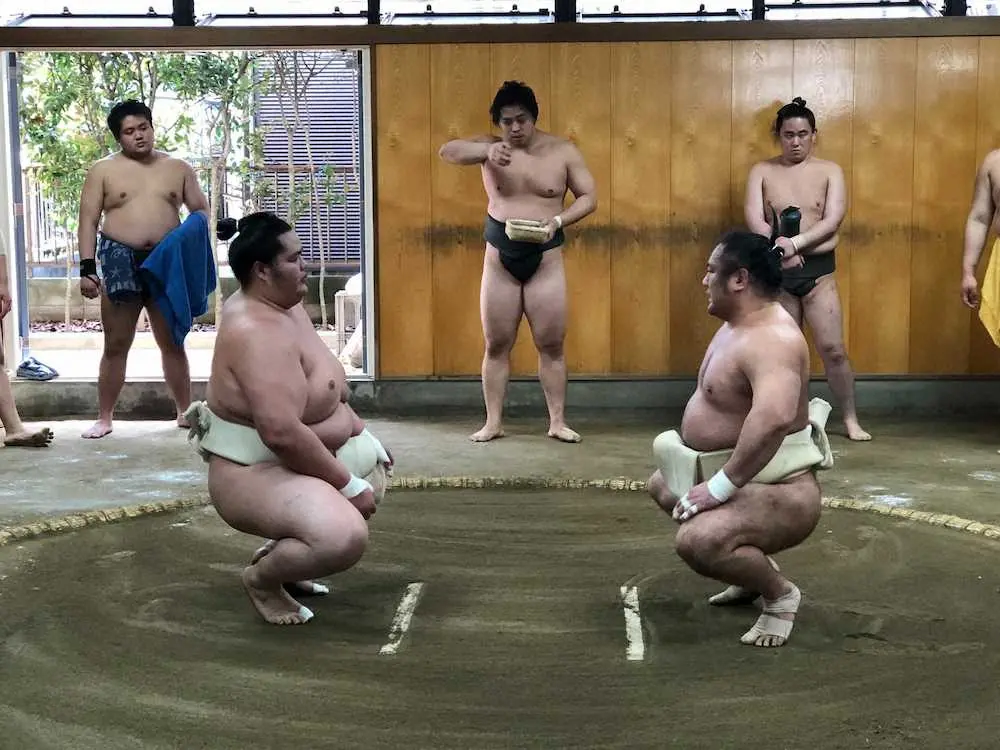 夏場所に向け琴恵光と稽古する琴ノ若（左）＝日本相撲協会提供