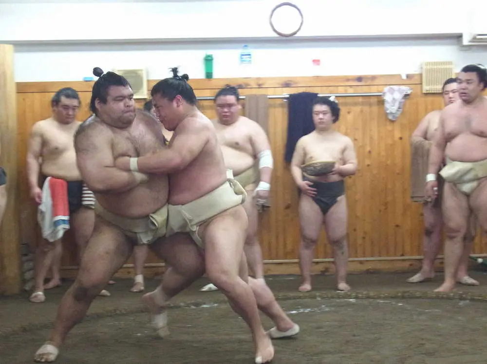 【画像・写真】高安が荒汐部屋で12番「みんな強いから楽しいですね」“出稽古行脚”で各部屋に与える好影響