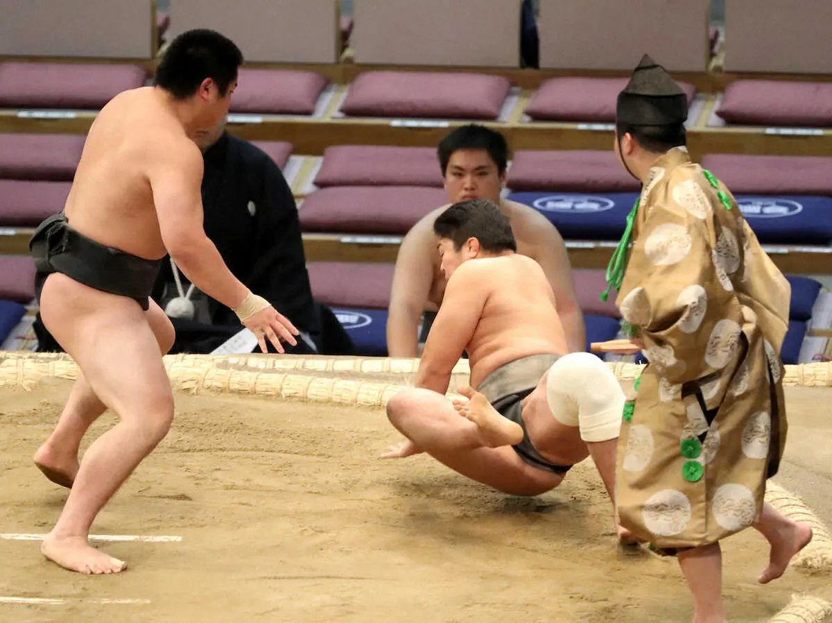 【画像・写真】安治川親方おい・桜庭　場所前に左膝負傷も強行出場「自分の立ち合いができなかった」初陣飾れず