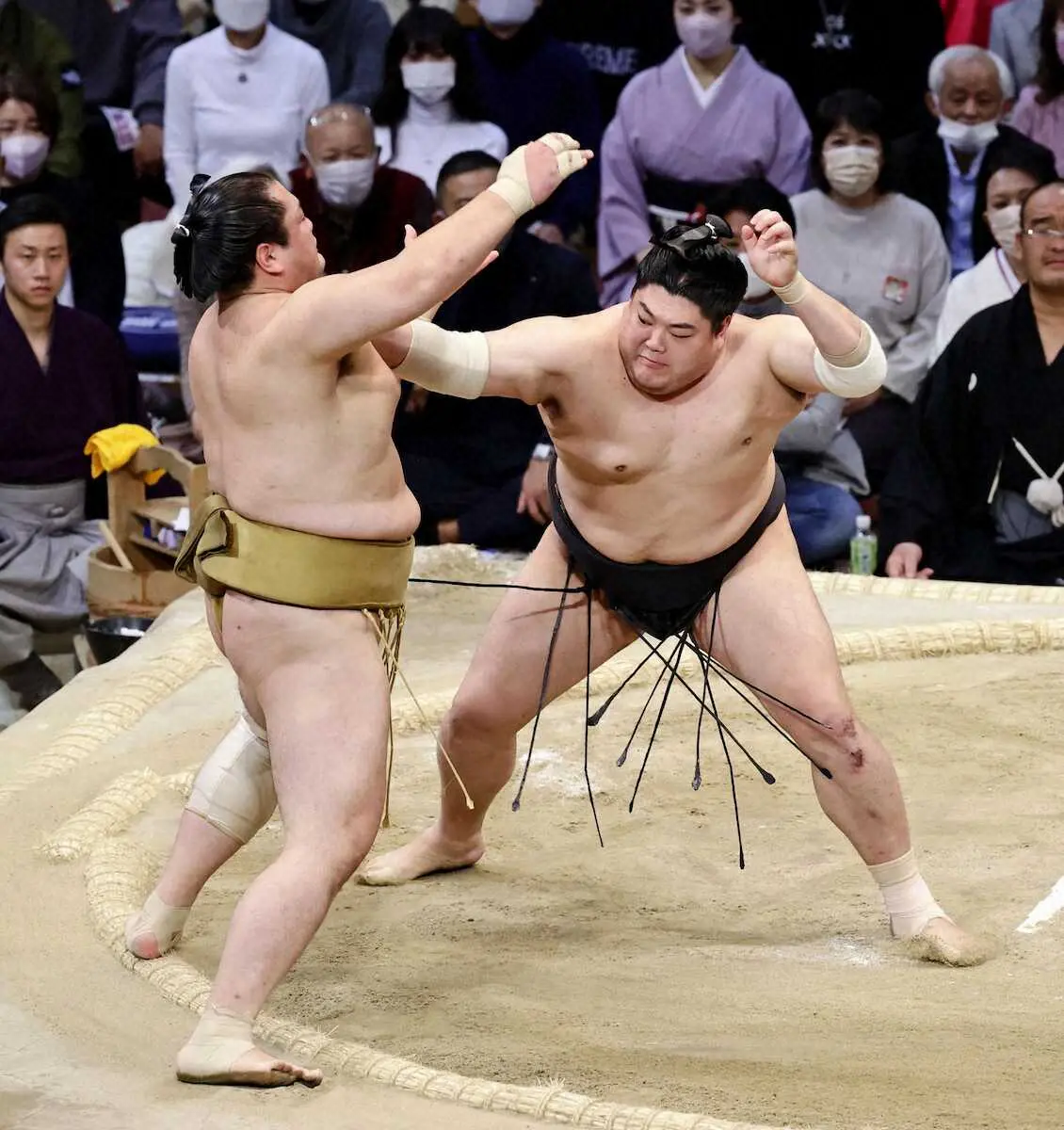 【画像・写真】阿炎　3敗堅持で10勝目「集中して立ち合いでしっかり当たれた」
