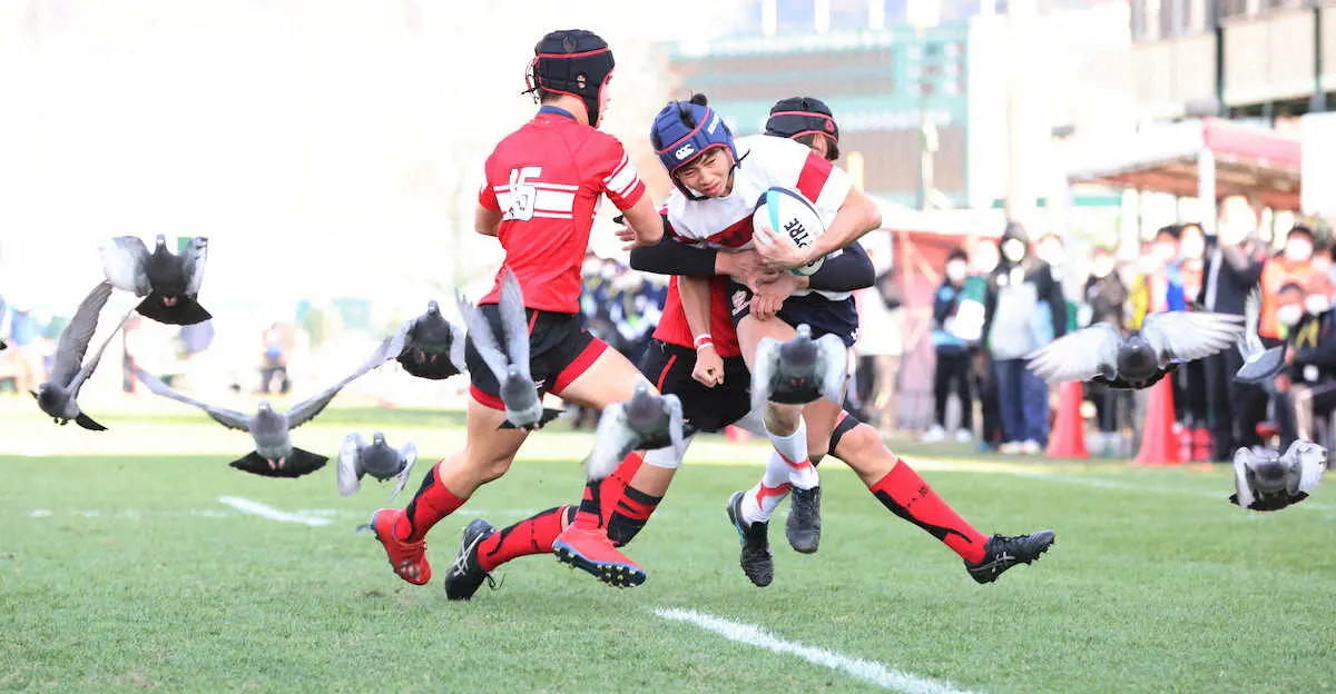 【画像・写真】【高校ラグビー】東海大相模が初戦突破　県予選決勝欠場のWTB石山が2トライ
