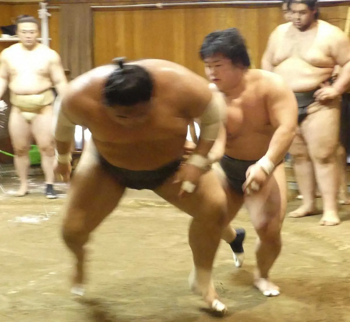 【画像・写真】幕下・川副が17番の申し合いで12勝5敗　初場所へ稽古十分　今年の目標「11月には新入幕」