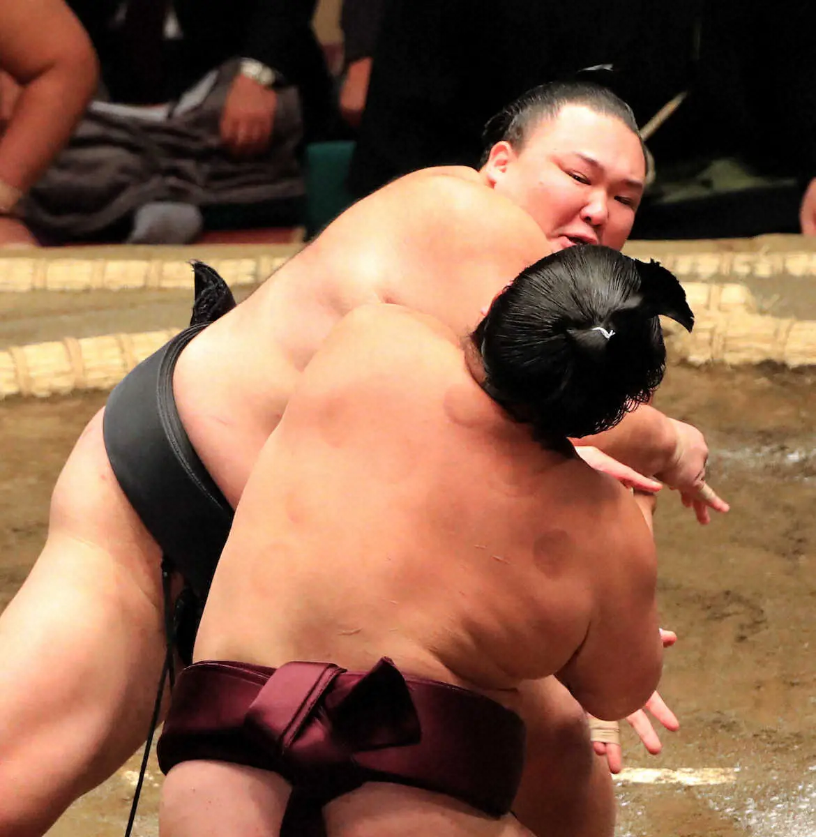 【画像・写真】朝乃山が連勝「良い緊張感で土俵に立てている」千代栄を突き出して圧倒