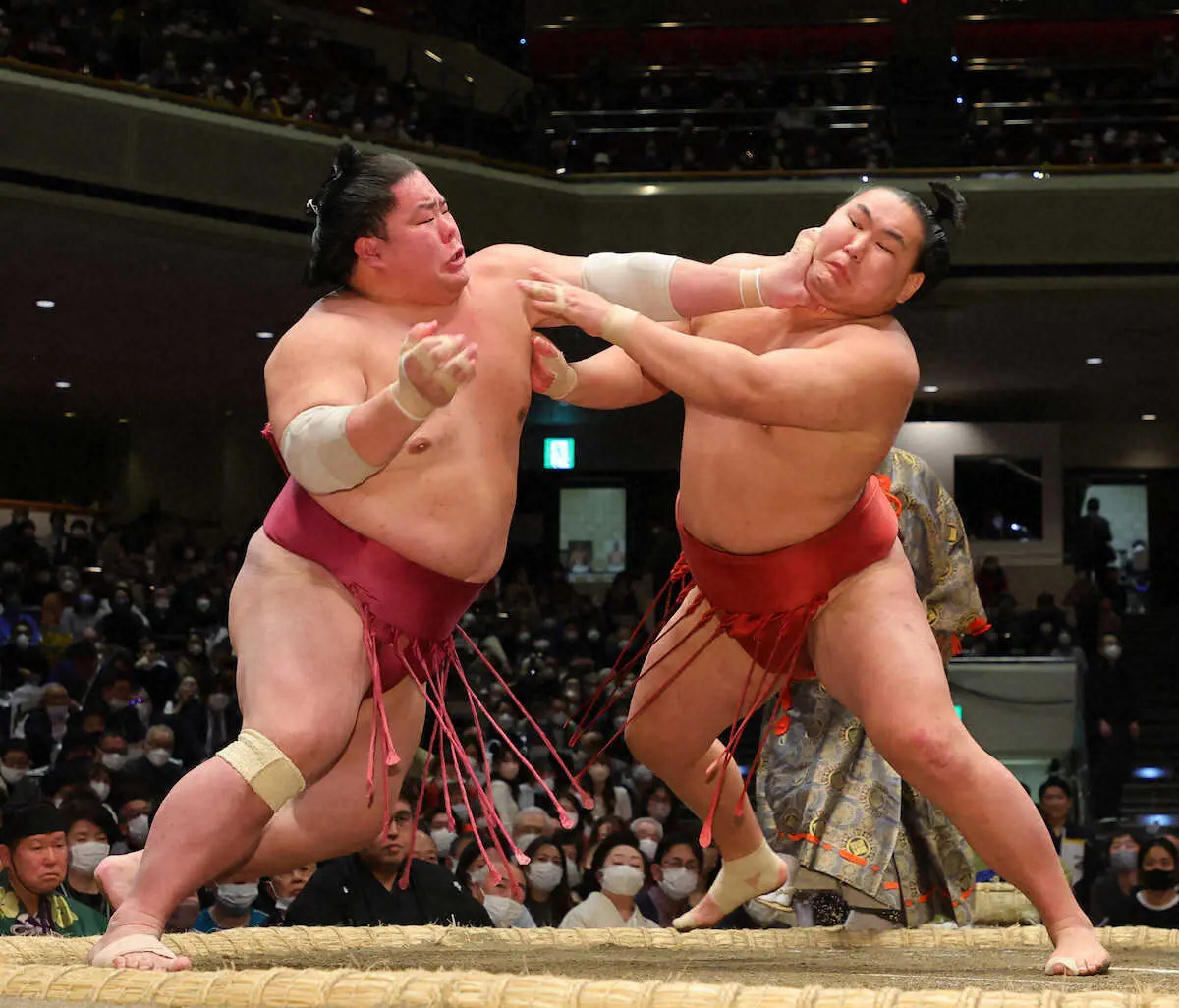 【画像・写真】豊昇龍（右）を攻める大栄翔（撮影・藤山　由理）