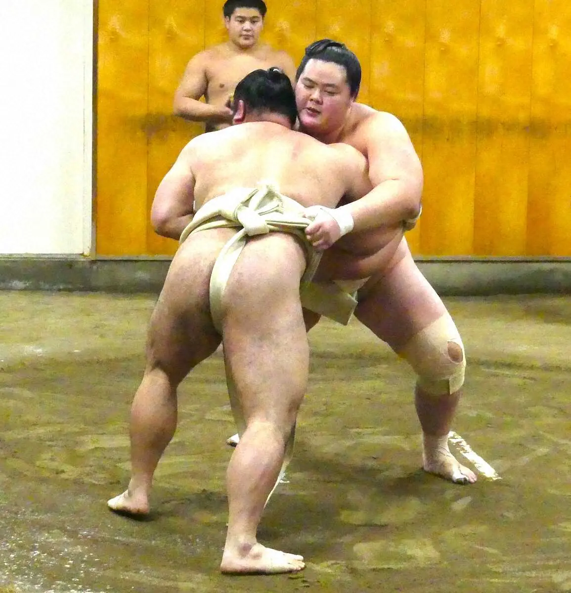 【画像・写真】新小結で勝ち越しの琴ノ若　上位定着で心境に変化「負けて当たり前」から「負けられない」へ