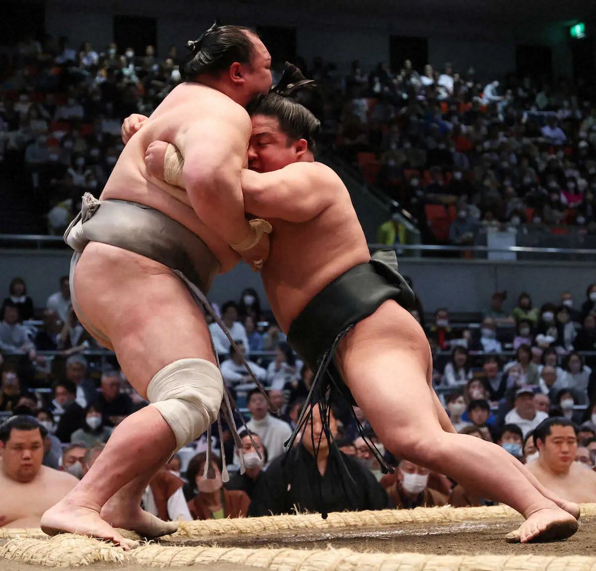 【画像・写真】伊勢ケ浜部屋コンビ　土つかず4連勝　錦富士「先に負けられない」　翠富士「先にあっちに負けてほしい」