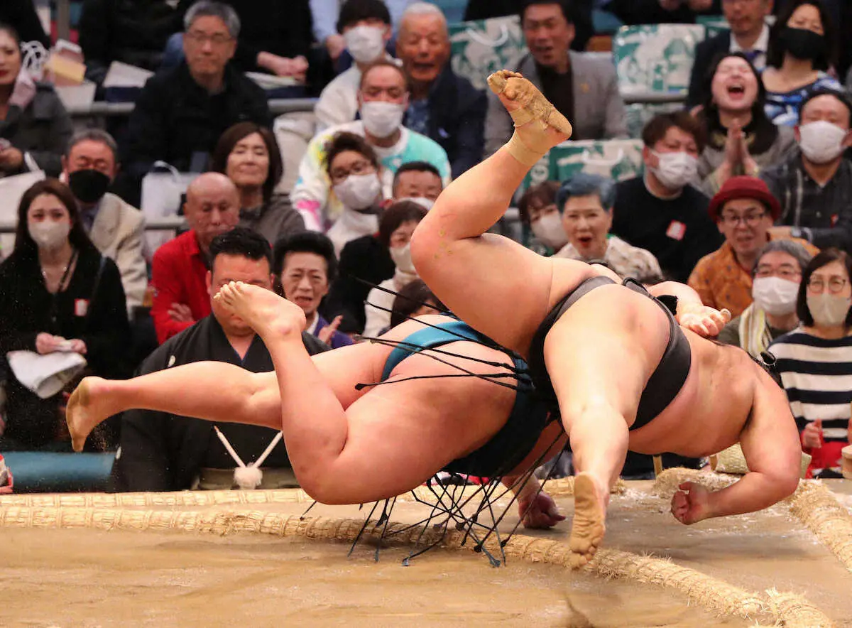 【画像・写真】朝乃山　十両で6勝目も「顔から落ちて良かった」　湘南乃海との投げの打ち合いを制す　右目上下の傷は勲章