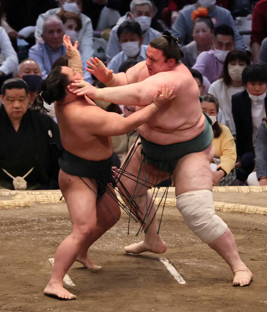 【画像・写真】【二所ノ関親方　視点】翠富士“攻めは最大の防御”碧山相手に一歩も引かず力で圧倒