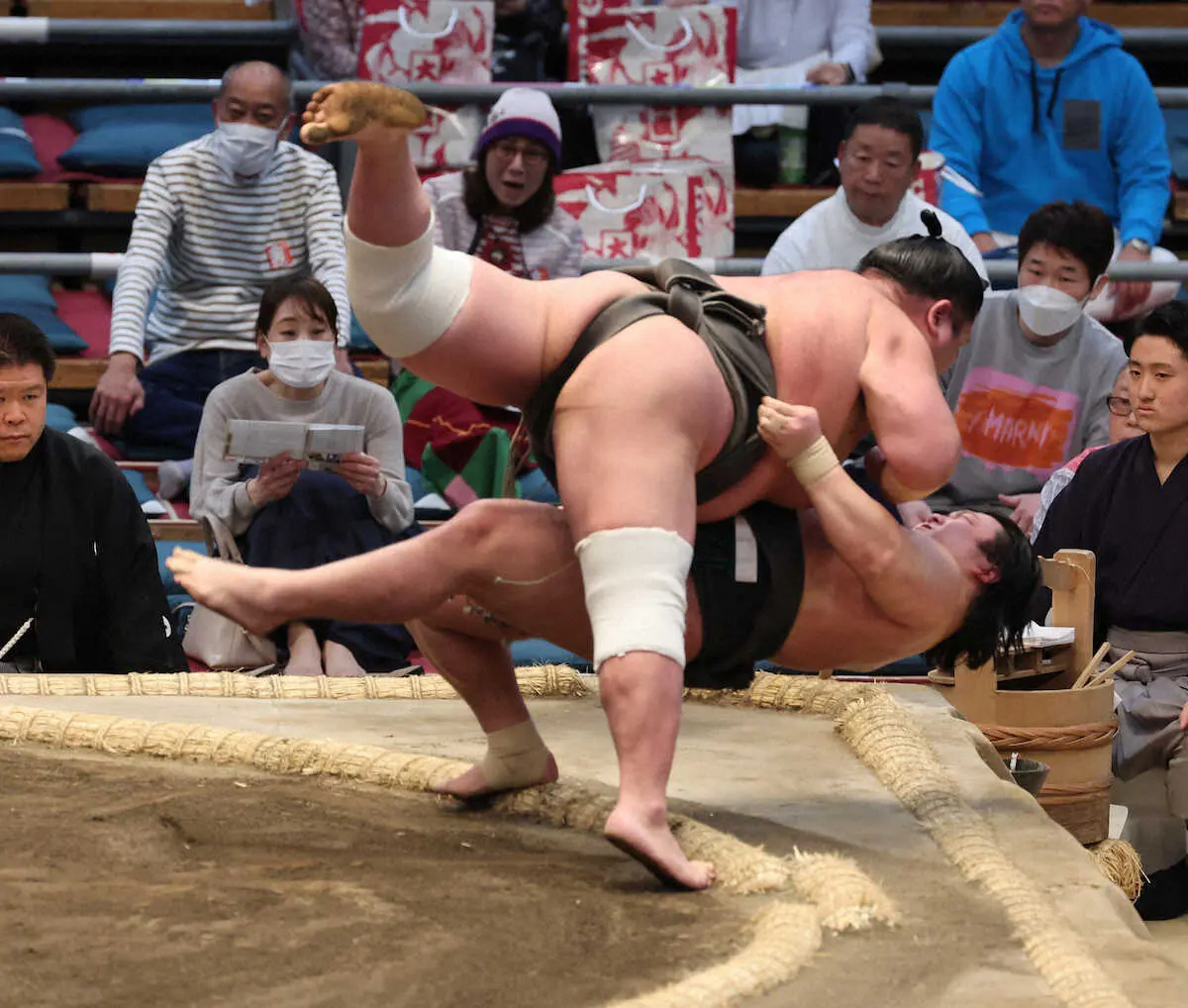 【画像・写真】幕下・川副が今場所初黒星「自分の甘さが出た」関取昇進へ大事な残り2番へ「変に気負わず」